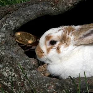 Die Panik der Elite vor Kryptowährungen - oder wo der Hase im Pfeffer liegt!